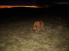 2009-12-02/DSCI5072.JPG