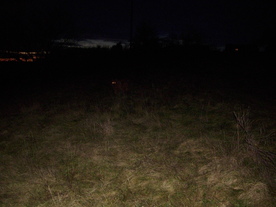 2009-12-02/DSCI5073.JPG