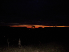 2009-12-02/DSCI5078.JPG
