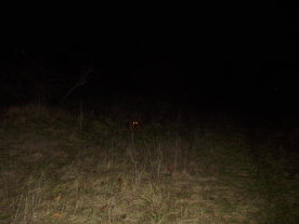 2009-12-02/DSCI5084.JPG