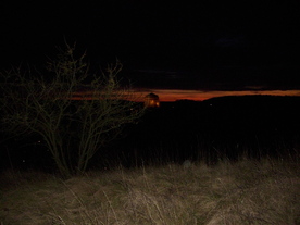 2009-12-02/DSCI5086.JPG