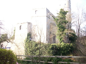 2009-12-02/DSCI5092.JPG