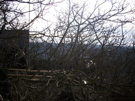 2009-12-02/DSCI5096.JPG