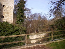 2009-12-02/DSCI5098.JPG