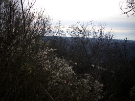 2009-12-02/DSCI5100.JPG