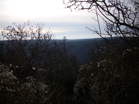 2009-12-02/DSCI5101.JPG