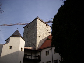 2009-12-02/DSCI5144.JPG