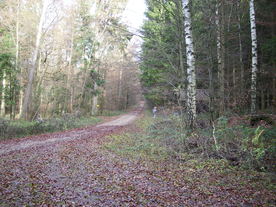 2009-12-02/DSCI5158.JPG