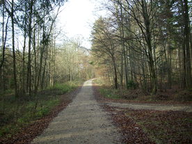 2009-12-02/DSCI5159.JPG