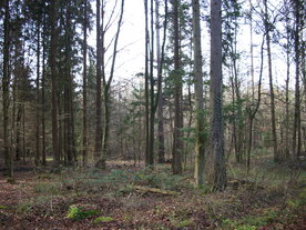2009-12-02/DSCI5160.JPG