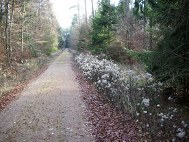 2009-12-02/DSCI5165.JPG
