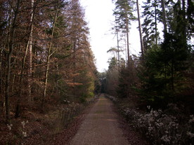 2009-12-02/DSCI5168.JPG