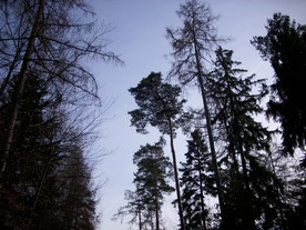 2009-12-02/DSCI5169.JPG