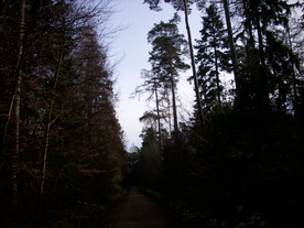 2009-12-02/DSCI5170.JPG