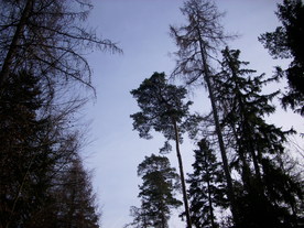 2009-12-02/DSCI5173.JPG