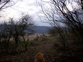 2009-12-02/DSCI5174.JPG