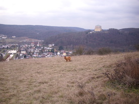 2009-12-02/DSCI5182.JPG