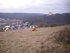 2009-12-02/DSCI5183.JPG