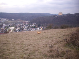 2009-12-02/DSCI5185.JPG