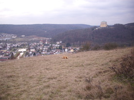 2009-12-02/DSCI5186.JPG