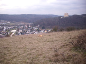 2009-12-02/DSCI5187.JPG