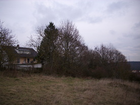 2009-12-02/DSCI5188.JPG