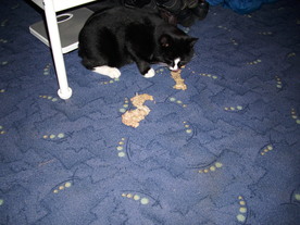 2009-12-02/DSCI5189.JPG