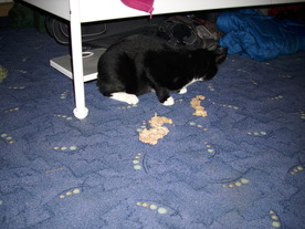 2009-12-02/DSCI5190.JPG