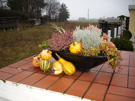 2009-12-02/DSCI5204.JPG
