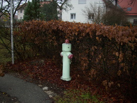 2009-12-02/DSCI5208.JPG