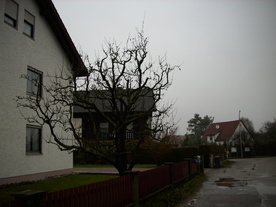 2009-12-02/DSCI5212.JPG