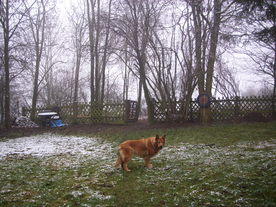 2009-12-17/DSCI5214.JPG