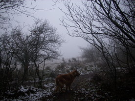 2009-12-17/DSCI5215.JPG