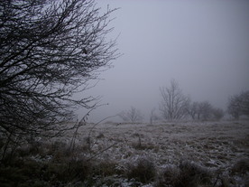 2009-12-17/DSCI5217.JPG