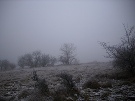 2009-12-17/DSCI5218.JPG