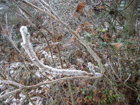 2009-12-17/DSCI5220.JPG