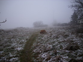 2009-12-17/DSCI5223.JPG