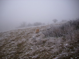 2009-12-17/DSCI5225.JPG