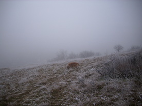2009-12-17/DSCI5226.JPG