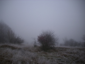 2009-12-17/DSCI5227.JPG