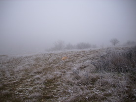 2009-12-17/DSCI5228.JPG