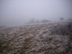 2009-12-17/DSCI5229.JPG