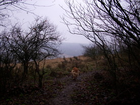 2009-12-17/DSCI5244.JPG