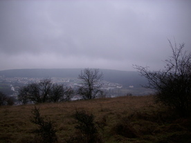 2009-12-17/DSCI5246.JPG