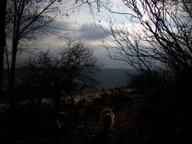 2009-12-17/DSCI5253.JPG