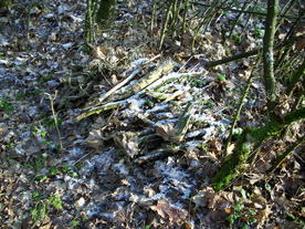 2009-12-17/DSCI5254.JPG