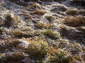 2009-12-17/DSCI5259.JPG