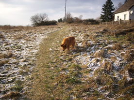 2009-12-17/DSCI5261.JPG