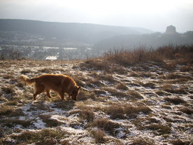 2009-12-17/DSCI5264.JPG