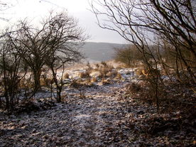 2009-12-17/DSCI5267.JPG